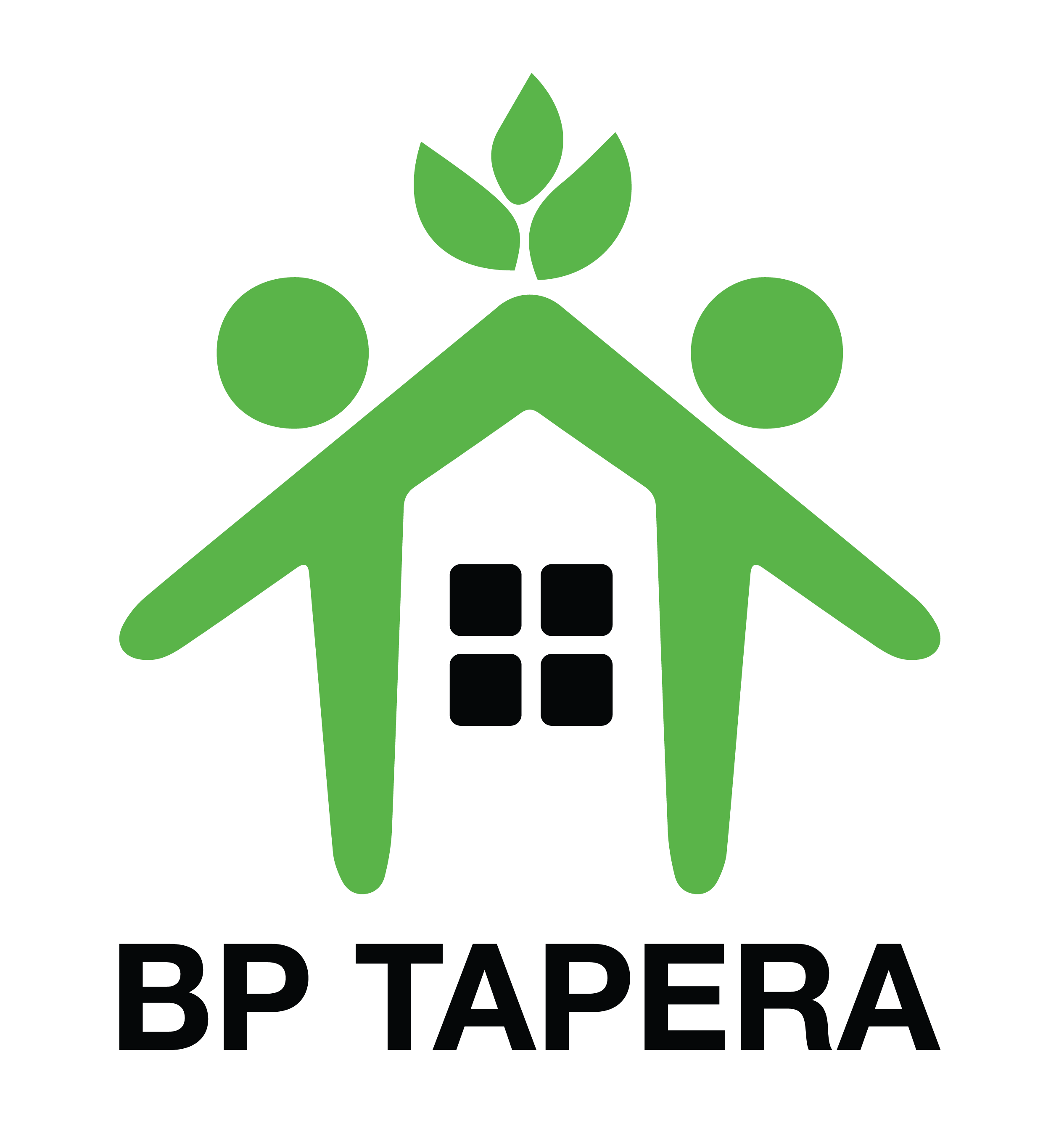 Tapera